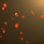 प्रवेश नाकारला