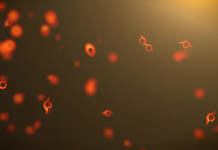 प्रवेश नाकारला