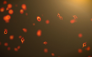 प्रवेश नाकारला