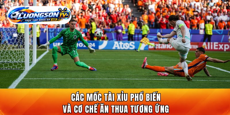 Các mốc kèo tài xỉu phổ biến và cơ chế ăn thua tương ứng